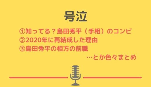 島田秀平(手相芸人)のコンビ号泣が再結成した理由！解散後の赤岡 がやっていた事！